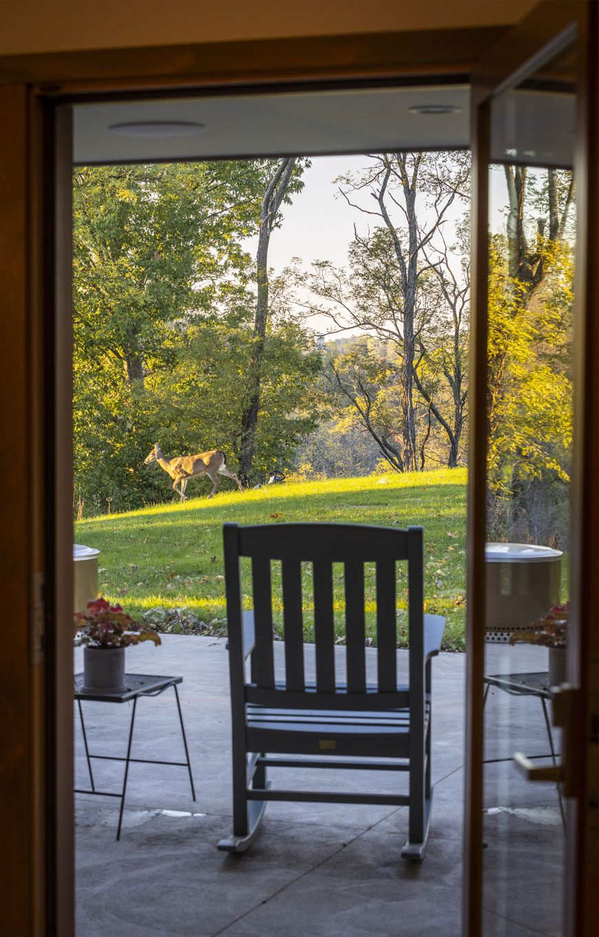 View to backyard of mid-century home remodel. Door is open and a deer runs past. Beyond, the nine acre property unfolds.